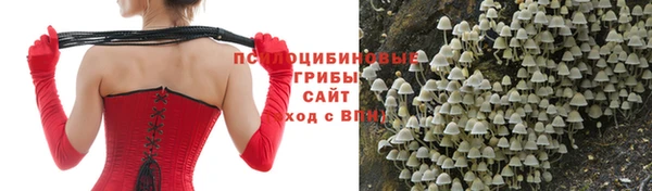MESCALINE Козельск